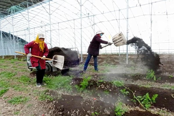富豪配资 钙镁硼锌铁叶面肥：精准施用时期与效果最大化指南