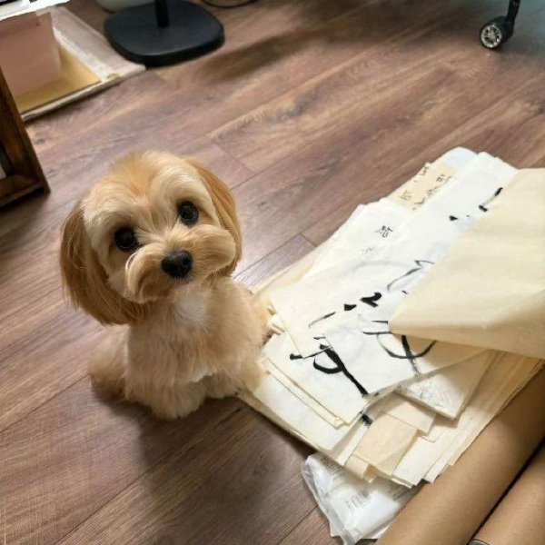 垒富配资 12星座都在后悔什么？