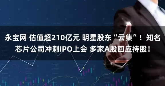 永宝网 估值超210亿元 明星股东“云集”！知名芯片公司冲刺IPO上会 多家A股回应持股！